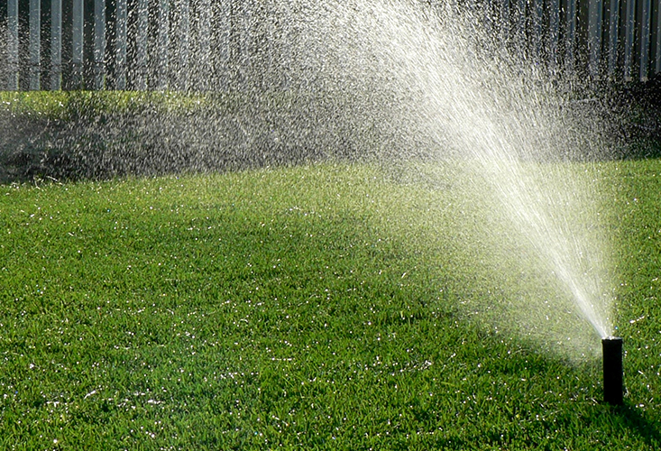 How to Keep Grass From Growing Over Retracting Sprinkler Heads  South  Austin Irrigation Repair Austin, Dripping Springs, Buda, Wimberley Tx